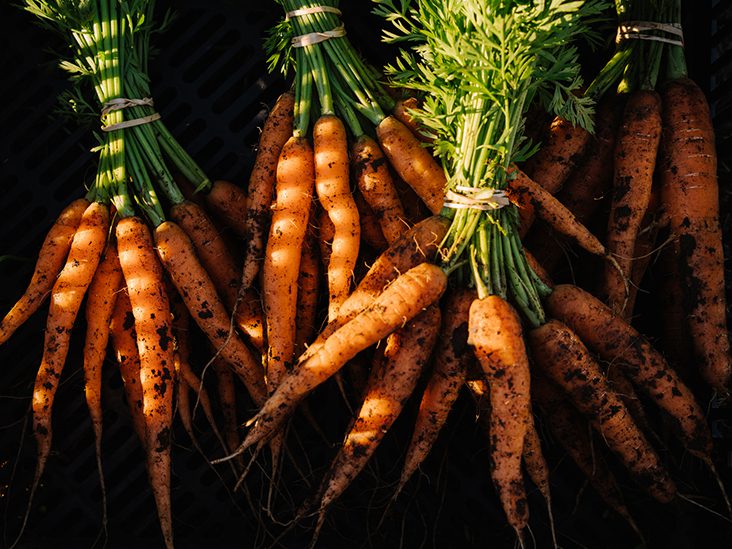 A bunch of freshly harvested carrots