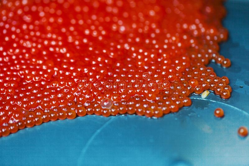 Fish eggs