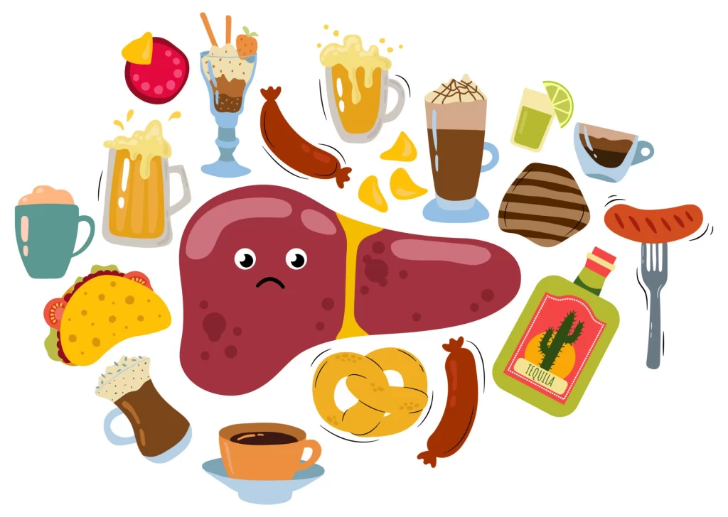 A liver unhealthy because of junk food